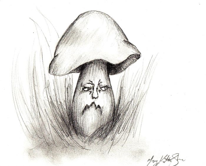 Grumpy Mushroom by Mary Katherine